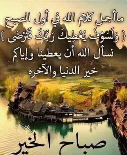 الشمري tweet media