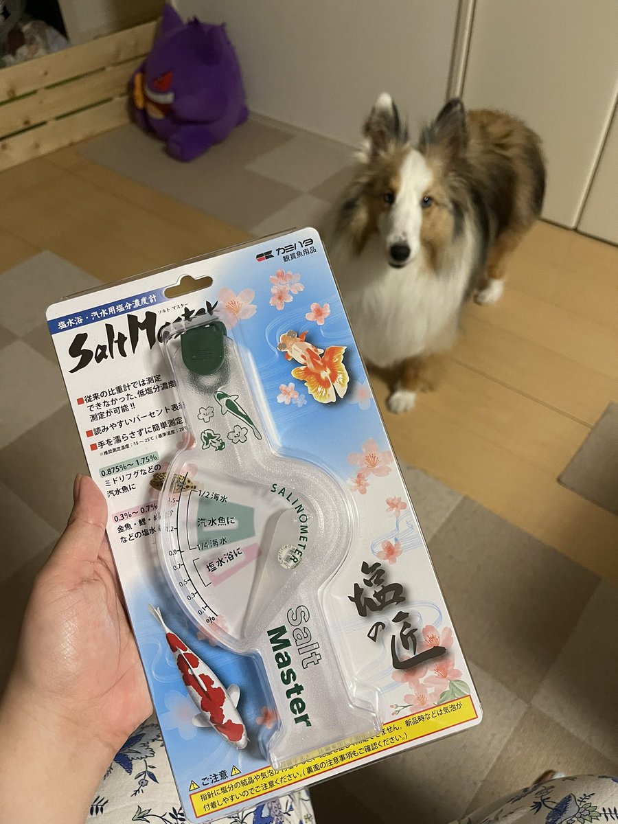 塩水浴 塩水浴