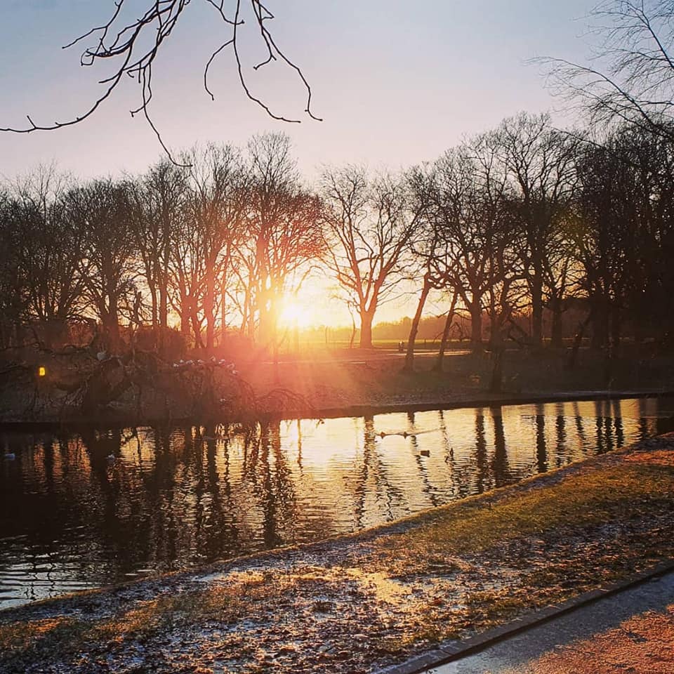 lpoolcouncil's tweet image. REMINDER: Our mobile testing centres are in our amazing parks throughout #HalfTerm.

🦆1 - 4 June Sefton Park
🌳1 - 6 June Calderstones Park
🌼 5 - 6 June Croxteth Park

@liverpoolparks @ILoveSeftonPark @CroxtethHall @Calderstones #LetsGetTested