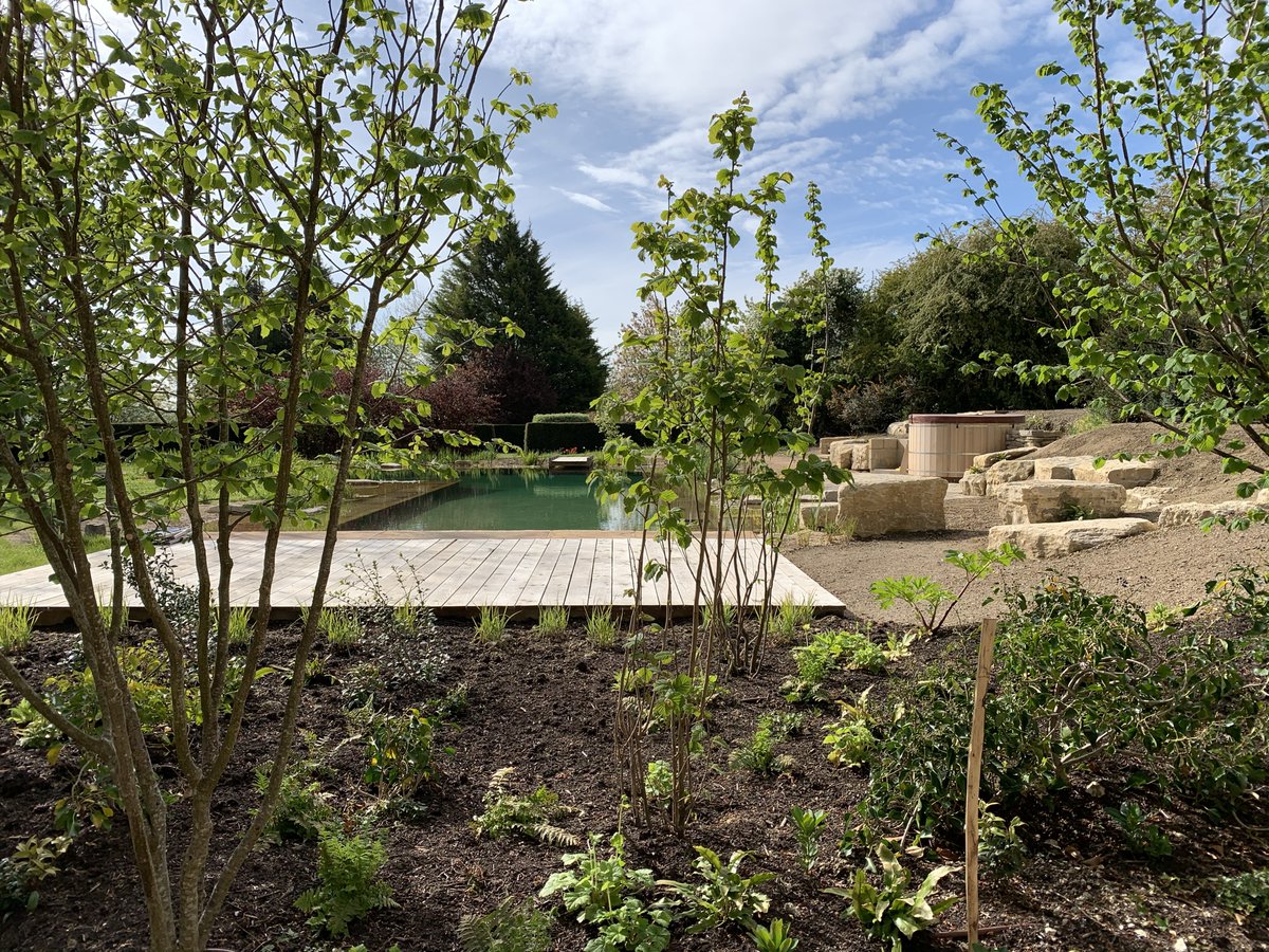 The natural swimming pond is looking very inviting indeed.  We worked with @gartenart_ to install this beauty #CCCountry #swimmingpond #diveintonature #landscapes