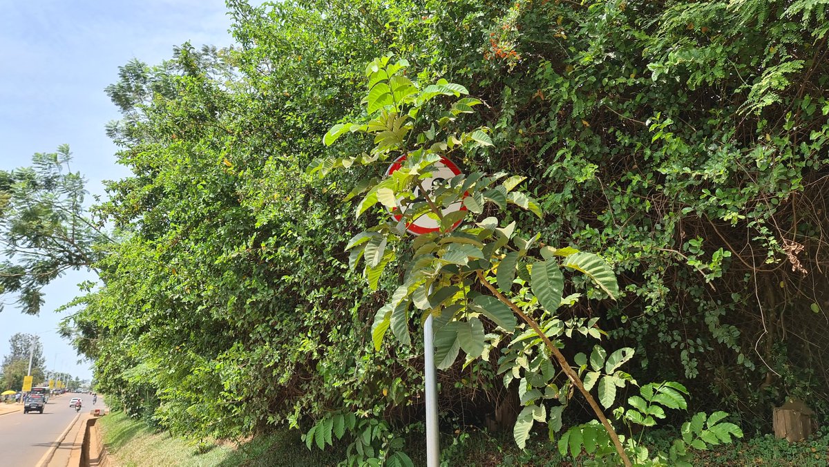 Rwanda National Police on Twitter: