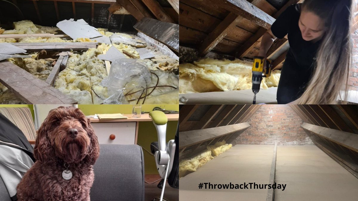 mtll_uk's tweet photo. Here's a #Throwback to November last year, when Louise left Libby 🐾 in Charge at the office to head out and find out about loft installations!
#LoveYourLoft #ThrowbackThursday #LoftSolutions #Derby #Sheffield #Nottingham #Loftladders #Loftaccess
https://t.co/lbsPOd2251 https://t.co/H2mHfv236m