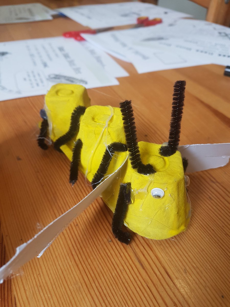 WindsorIan's tweet photo. After learning about bees, students made their own. https://t.co/HMfzGtdnVr