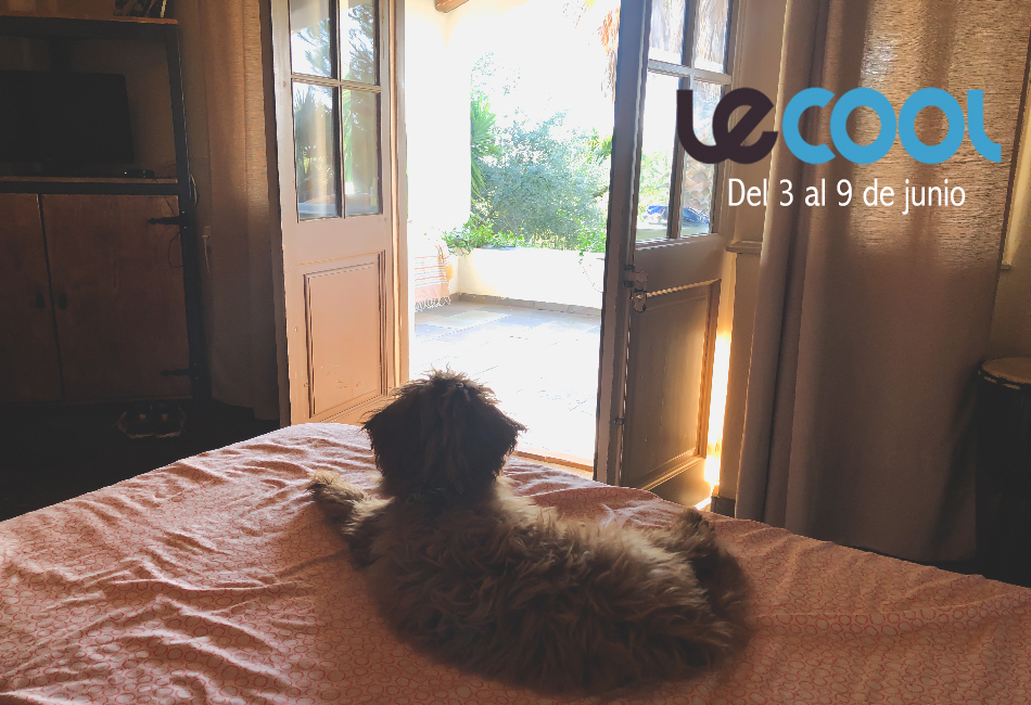 Le Cool Madrid tweet media