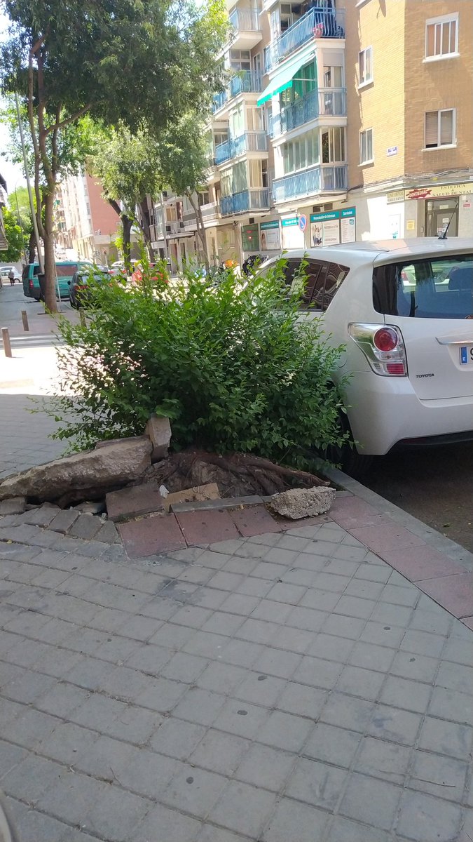 lorenalorena's tweet photo. Que digo yo @Lineamadrid @JMDCiudadLineal @MADRID que desde Filomena habeis tenido tiempo de arreglar esto. En dos meses más ya ni podremos pasar por la acera. Eso si, para que los coches circulen bien prisa os disteis en despejar todo. A los peatones que nos den @AscoMadrid https://t.co/Rmq6QecUQk