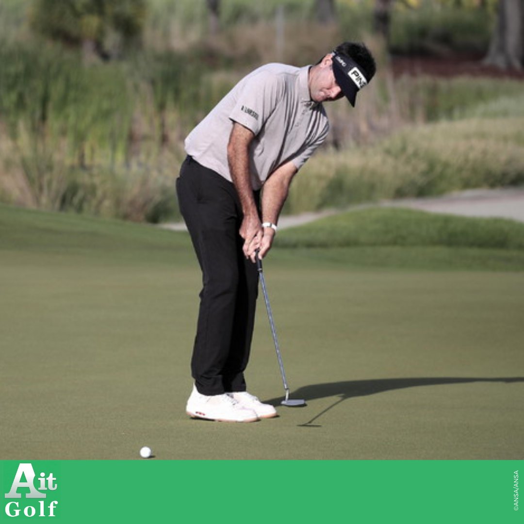 Ansa Golf tweet media