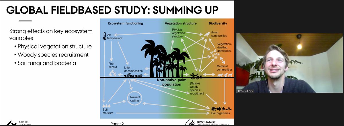 BIOCHANGE (@biochangeau) on Twitter photo Celebrating yet another succesfully defended thesis in the group by <a href="/Vincent_Fehr/">Vincent Fehr</a> on non-native palms as generators of novel ecosystems - part of <a href="/JCSvenning/">Jens Svenning</a>'s #VILLUMInvestigator project <a href="/VILLUMFONDEN/">Villum Fonden</a>. Congrats Vincent for this great accomplishment! Celebrating yet another succesfully defended thesis in the group by <a href="/Vincent_Fehr/">Vincent Fehr</a> on non-native palms as generators of novel ecosystems - part of <a href="/JCSvenning/">Jens Svenning</a>'s #VILLUMInvestigator project <a href="/VILLUMFONDEN/">Villum Fonden</a>. Congrats Vincent for this great accomplishment!