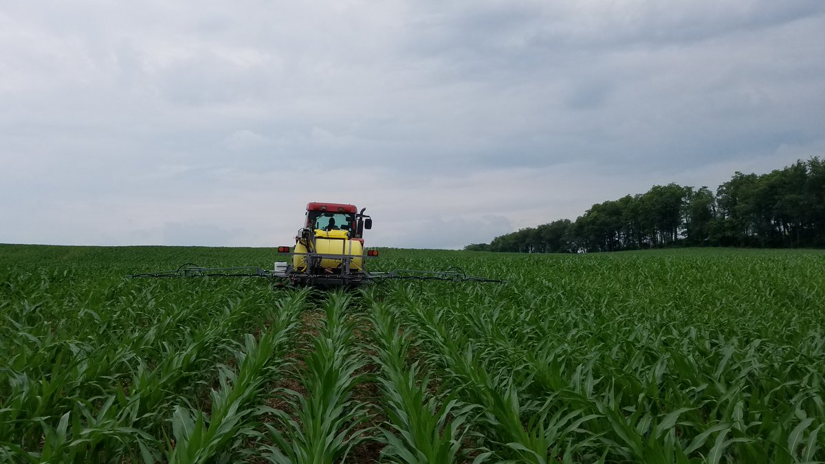 PennStateCrops's tweet photo. #Sidedress questions? We're going LIVE Friday at 9am at https://t.co/UgdgClZdGR for the #Agronomy Highlight with Dr. Charlie White to talk in-season #Nmanagement. Ask questions and hear updates from around the state, too. Good for 0.5 CCA NM CEU IF you watch LIVE. @4Rnutrients https://t.co/Pey5fYBM57