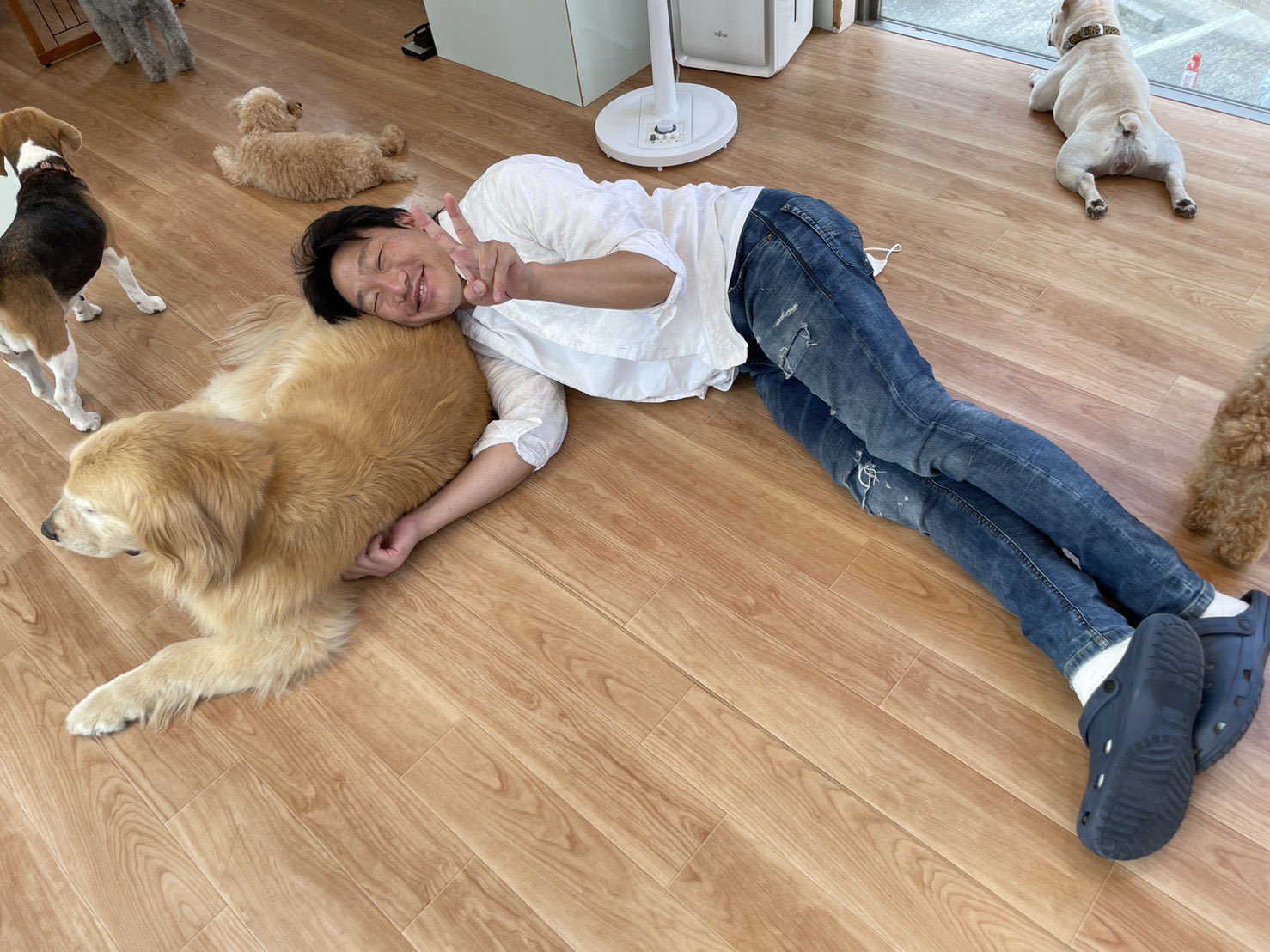 Anzen漫才 みやぞん 動物大好きです もうやられたい放題 きゃーいい 是非近々アップされるyoutubeみやゾーンご覧下さい Youtubeみやぞーん 赤ちゃんビーグル ミーヤキャット ゴールデンレトリーバー 豆柴 T Co T6pbl4ps06