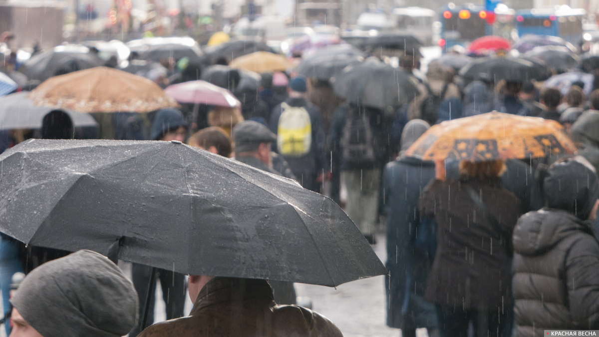 дождь в москве. сильный дождь. дождливый день. украина 14 ноября. сильный ветер и дождь.