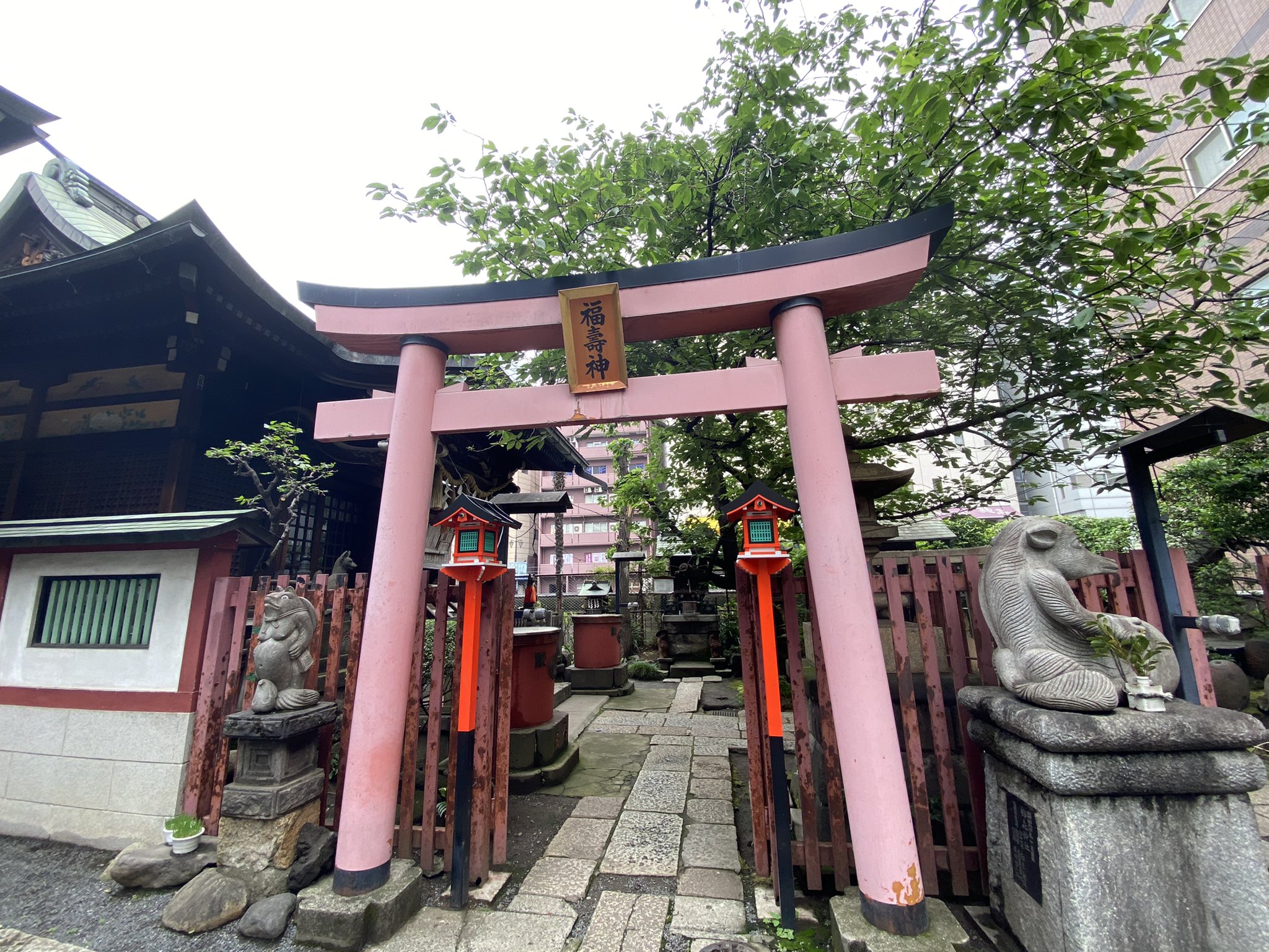 スーパーホテルpremier秋葉原 並びにある柳森神社です 中に入るとここだけ異空間のような空気です 秋葉原にいることは忘れてしまってます 柳森神社 シュタインズ ゲート T Co Fpeju8t5h1 Twitter