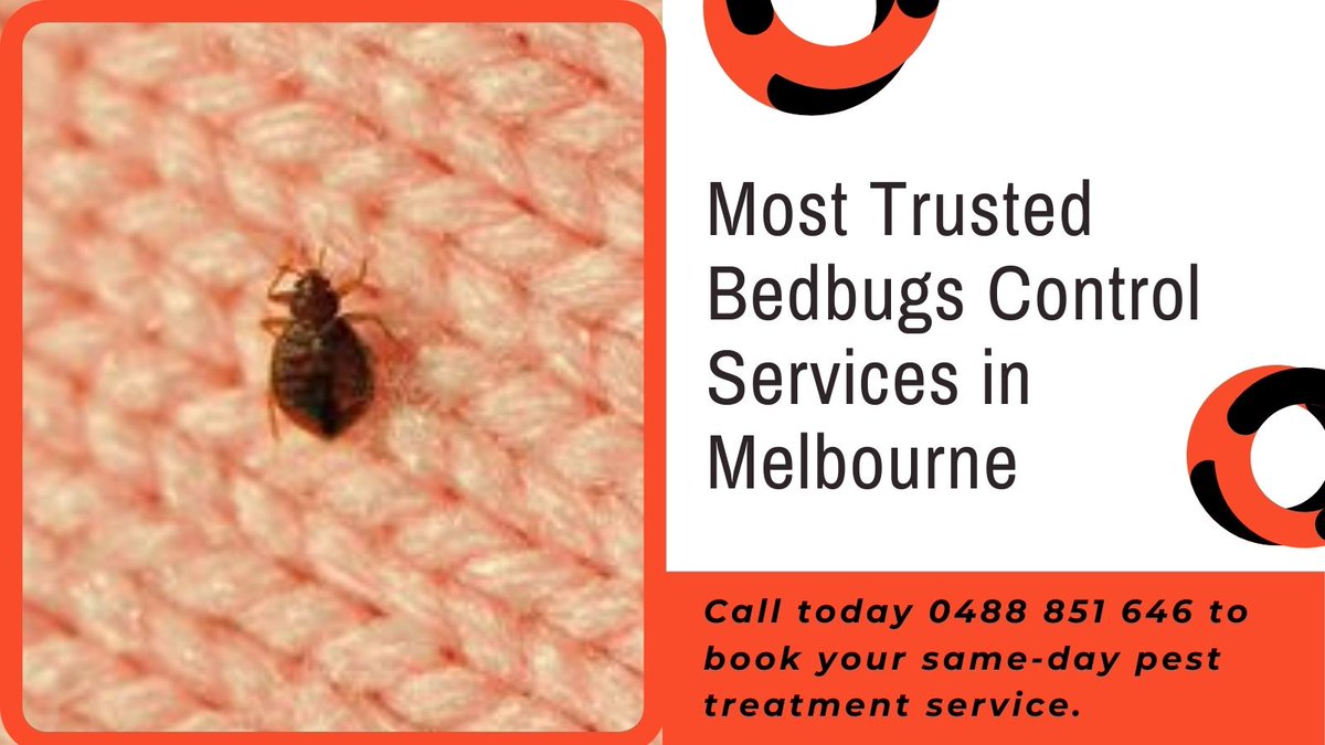 masseypestcontr's tweet image. Our local #bedbugpestcontrol experts will come to your home for the pest infestation and eliminate it using eco-friendly pesticide control methods. We recommend the best advice to our clients and solved all your problem
Read more- markspestcontrol.com.au/bedbugs-contro…
#Melbourne