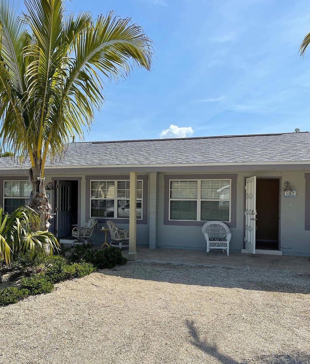 Barbara Patchis tweet media