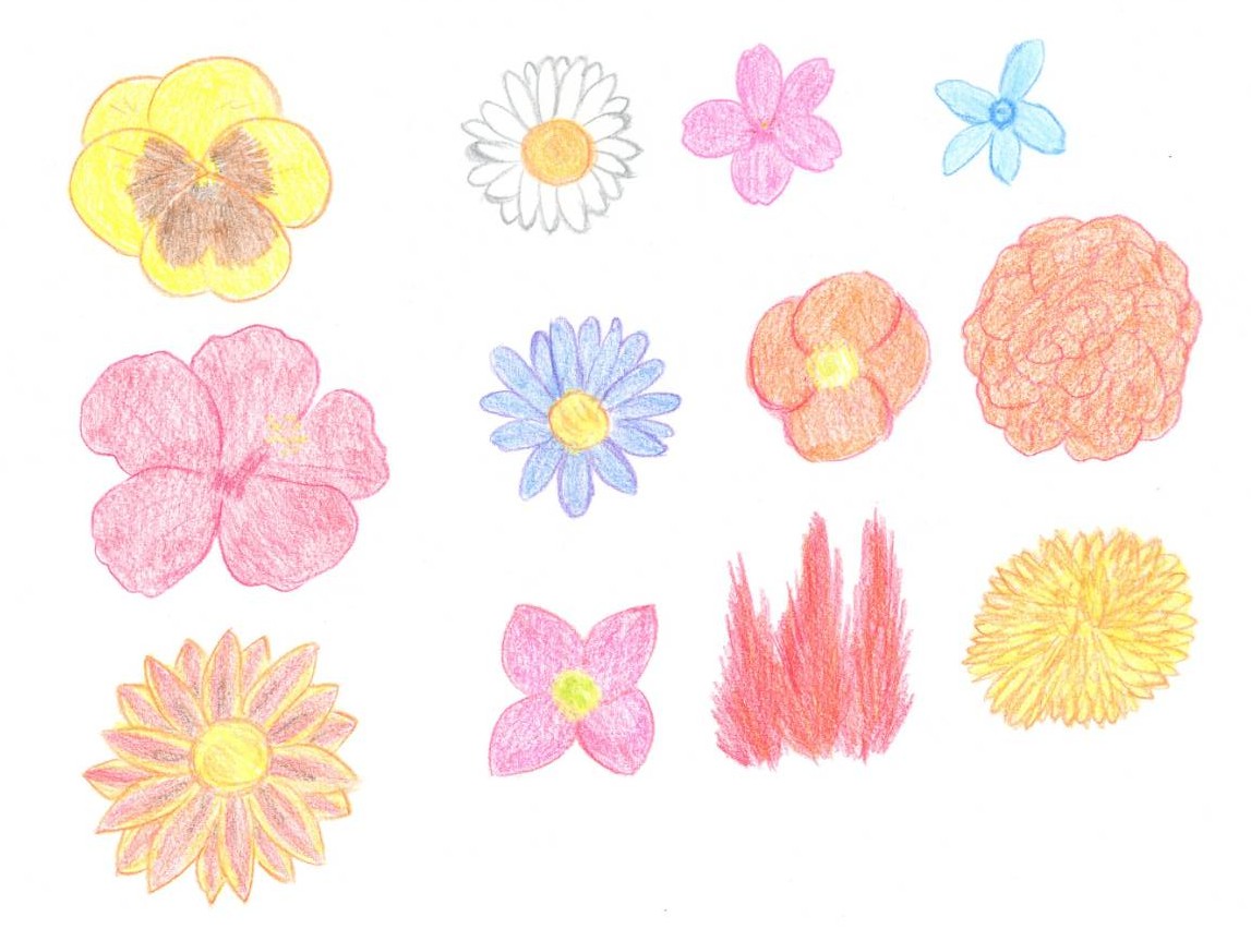 カランコエ のイラスト マンガ作品 6 件 Twoucan カランコエ のイラスト マンガ作品 6 件 Twoucan