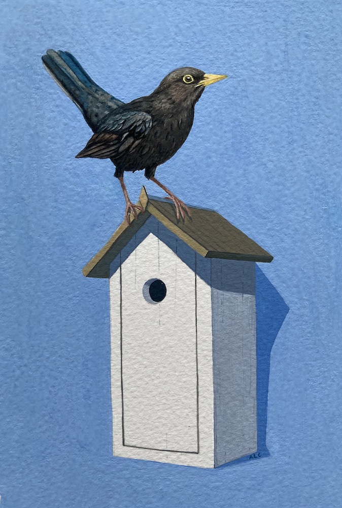 FidraFineArt's tweet photo. "All Summer Long" open today in #Gullane 11-4pm.

Love this little piece by Alan Connell, not the only one as it has now sold.

Blackie, Gouache, 11x18cm framed size.

#blackbird #allsummerlong #alanconnell #scottishart #scottishartist https://t.co/siNSvN2A3v