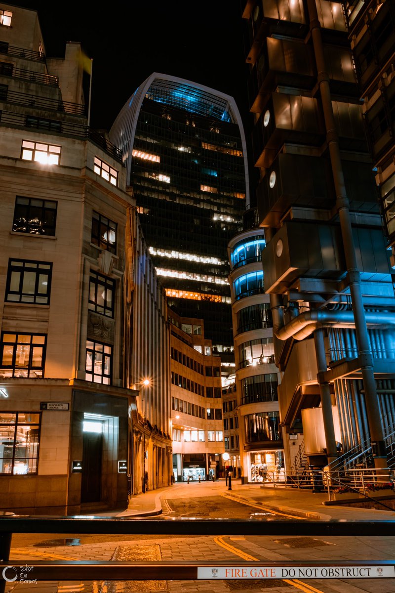 photorox_art's tweet image. The great Beauty!