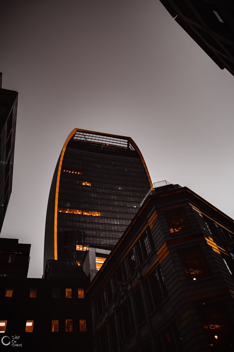 photorox_art's tweet image. The great Beauty!