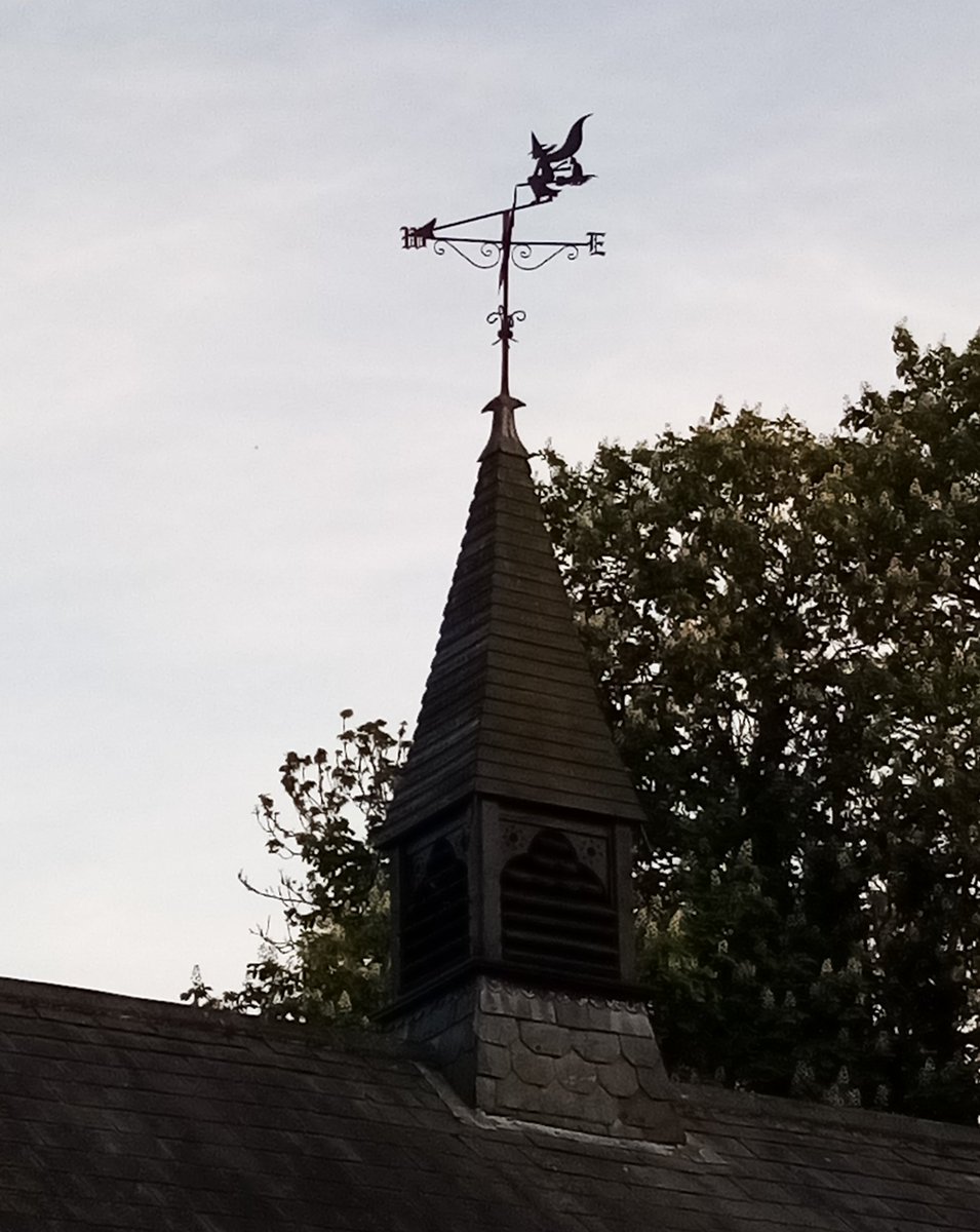 Wandering the back roads...
#folkhorror #witch #witchcraft #rural #folklore