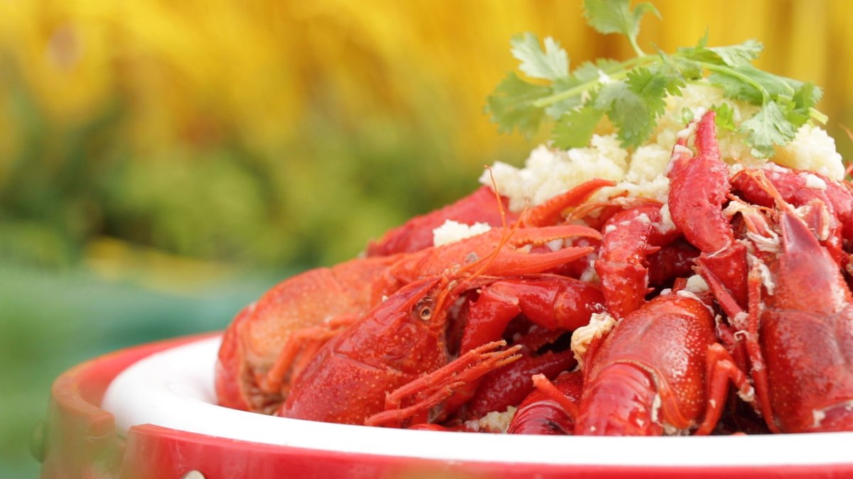 Suning_Group's tweet image. As this year&apos;s crawfish season comes around, Suning is helping China&apos;s crawfish farmers to harness the internet and logistical, technological and geographical challenges to expand product awareness and boost sales. #FarmToTable #RuralRevitalization bit.ly/2S9Ri7k