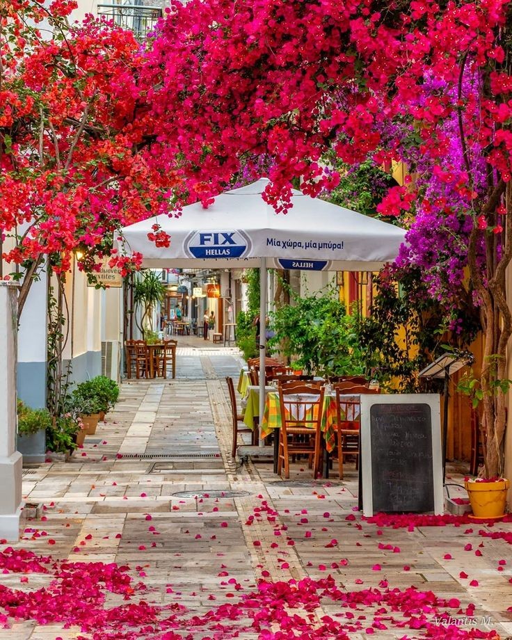 ALEXA 🍃💋🍃 (@alexa17101614) on Twitter photo <a href="/rpskataria/">Ramphal Kataria رامپھل کٹاریا</a> @SUDEBBI88994521 <a href="/KurdoErgan/">Kurdo ERGAN</a> <a href="/Titas37/">Benito -</a> <a href="/Chief_Pilot_/">Сергей Борисенко 🇷🇺</a> @Zulehik <a href="/maype7/">✿⊱ Mayuli Peña R ✿⊱</a> <a href="/TirilMari/">MARIT SVARVA.</a> <a href="/DerekPa30582481/">Derek Paterson</a> <a href="/ESwedman/">Elisabeth Swedman</a> <a href="/PolishRoyalGoat/">Ana and her Goat</a> <a href="/SAgelkaras/">StefanosAgelkaras</a> <a href="/BwnNag/">Debasis Nag.....</a> @Lauraterez <a href="/SnowWhiteRina/">Snow White Rina</a> <a href="/19marino74/">Marino Lo Chiatto</a> @GerdaAnnaK1 <a href="/Lorrainefmdg/">Lorraine gray</a> <a href="/veronicamadel/">VERONICA</a> <a href="/zoyananas/">🇦🇱 Lana 🇫🇷</a> <a href="/RrWichi/">Malena</a> <a href="/annakolovou/">Anna Kolovou💎</a> <a href="/mceliasantos/">Maria Celia Steola</a> <a href="/StephanieH9229/">🌷Stéphanie🌷</a> <a href="/Emanuelnascime8/">Emanuel nascimento</a> <a href="/Marlene24982279/">🦋MARLENE🦋</a> @lecorrea8100 <a href="/rafaelc11589815/">rafael campos</a> @aimoucheaimo <a href="/GeorginaAntoin9/">✨💛Georgina Antoine💛✨</a> <a href="/mlluisar/">Maria Luisa Ruiz</a> <a href="/LockettsPeter/">peter lockett</a> @EnzoDowling <a href="/Bella_Ely_/">❀👠••►ℰ ℒ ⅈ 👠◄••❀🌷••</a> <a href="/GiorgosKontopi7/">Giorgos Kontopidis</a> <a href="/otrogoga60/">ᴏꜱᴄᴀʀ ɢᴏᴍᴇᴢ ɢᴀʀᴄɪᴀ</a> <a href="/MujittafaMusa/">M. Musa</a> <a href="/TaherrL/">T🅰HE® L🅾UNIS 🌴 🇩🇿🌍♥</a> <a href="/npsraghav0/">nps raghav</a> <a href="/Enzo55179168/">Enzo</a> <a href="/IsmailShihan/">Ismail Shihan</a> <a href="/MalikaAkram14/">Malika Akram</a> <a href="/Moine27549577/">Moine</a> <a href="/Jendrekan/">Ανδρεασ</a> <a href="/AndreasMouyis1/">AndreasMouyis1</a> <a href="/eft76/">.</a> Good Morning ⚘Wonderful day to all <a href="/rpskataria/">Ramphal Kataria رامپھل کٹاریا</a> @SUDEBBI88994521 <a href="/KurdoErgan/">Kurdo ERGAN</a> <a href="/Titas37/">Benito -</a> <a href="/Chief_Pilot_/">Сергей Борисенко 🇷🇺</a> @Zulehik <a href="/maype7/">✿⊱ Mayuli Peña R ✿⊱</a> <a href="/TirilMari/">MARIT SVARVA.</a> <a href="/DerekPa30582481/">Derek Paterson</a> <a href="/ESwedman/">Elisabeth Swedman</a> <a href="/PolishRoyalGoat/">Ana and her Goat</a> <a href="/SAgelkaras/">StefanosAgelkaras</a> <a href="/BwnNag/">Debasis Nag.....</a> @Lauraterez <a href="/SnowWhiteRina/">Snow White Rina</a> <a href="/19marino74/">Marino Lo Chiatto</a> @GerdaAnnaK1 <a href="/Lorrainefmdg/">Lorraine gray</a> <a href="/veronicamadel/">VERONICA</a> <a href="/zoyananas/">🇦🇱 Lana 🇫🇷</a> <a href="/RrWichi/">Malena</a> <a href="/annakolovou/">Anna Kolovou💎</a> <a href="/mceliasantos/">Maria Celia Steola</a> <a href="/StephanieH9229/">🌷Stéphanie🌷</a> <a href="/Emanuelnascime8/">Emanuel nascimento</a> <a href="/Marlene24982279/">🦋MARLENE🦋</a> @lecorrea8100 <a href="/rafaelc11589815/">rafael campos</a> @aimoucheaimo <a href="/GeorginaAntoin9/">✨💛Georgina Antoine💛✨</a> <a href="/mlluisar/">Maria Luisa Ruiz</a> <a href="/LockettsPeter/">peter lockett</a> @EnzoDowling <a href="/Bella_Ely_/">❀👠••►ℰ ℒ ⅈ 👠◄••❀🌷••</a> <a href="/GiorgosKontopi7/">Giorgos Kontopidis</a> <a href="/otrogoga60/">ᴏꜱᴄᴀʀ ɢᴏᴍᴇᴢ ɢᴀʀᴄɪᴀ</a> <a href="/MujittafaMusa/">M. Musa</a> <a href="/TaherrL/">T🅰HE® L🅾UNIS 🌴 🇩🇿🌍♥</a> <a href="/npsraghav0/">nps raghav</a> <a href="/Enzo55179168/">Enzo</a> <a href="/IsmailShihan/">Ismail Shihan</a> <a href="/MalikaAkram14/">Malika Akram</a> <a href="/Moine27549577/">Moine</a> <a href="/Jendrekan/">Ανδρεασ</a> <a href="/AndreasMouyis1/">AndreasMouyis1</a> <a href="/eft76/">.</a> Good Morning ⚘Wonderful day to all