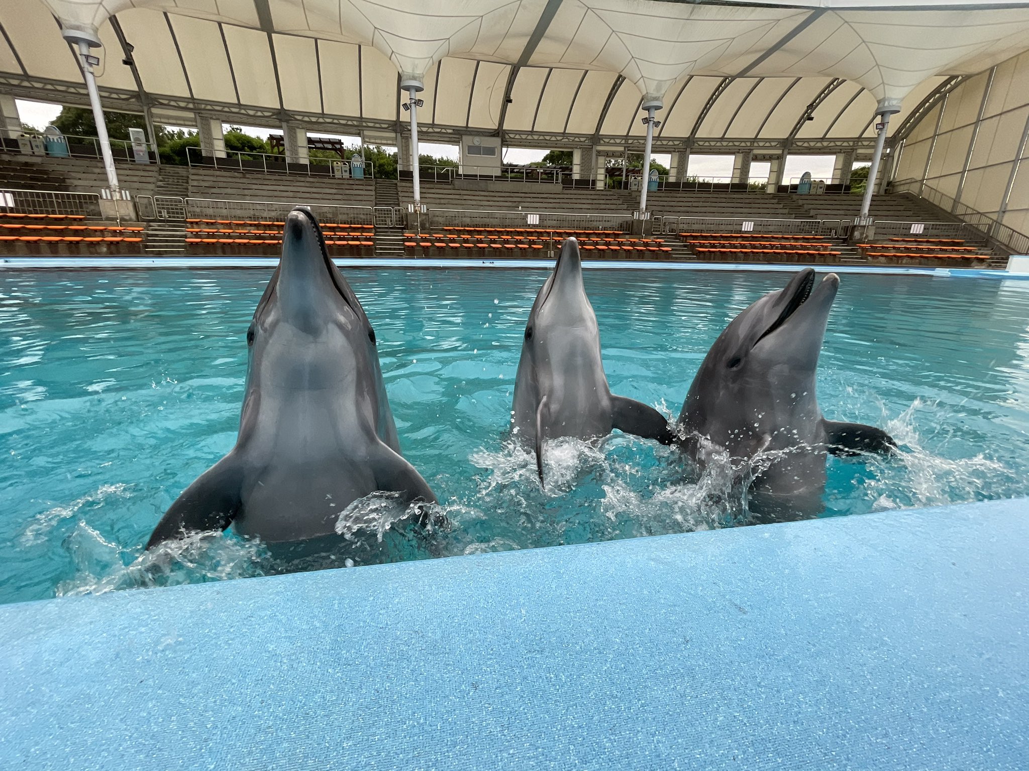 See Beachland00 S Tweet Twitter