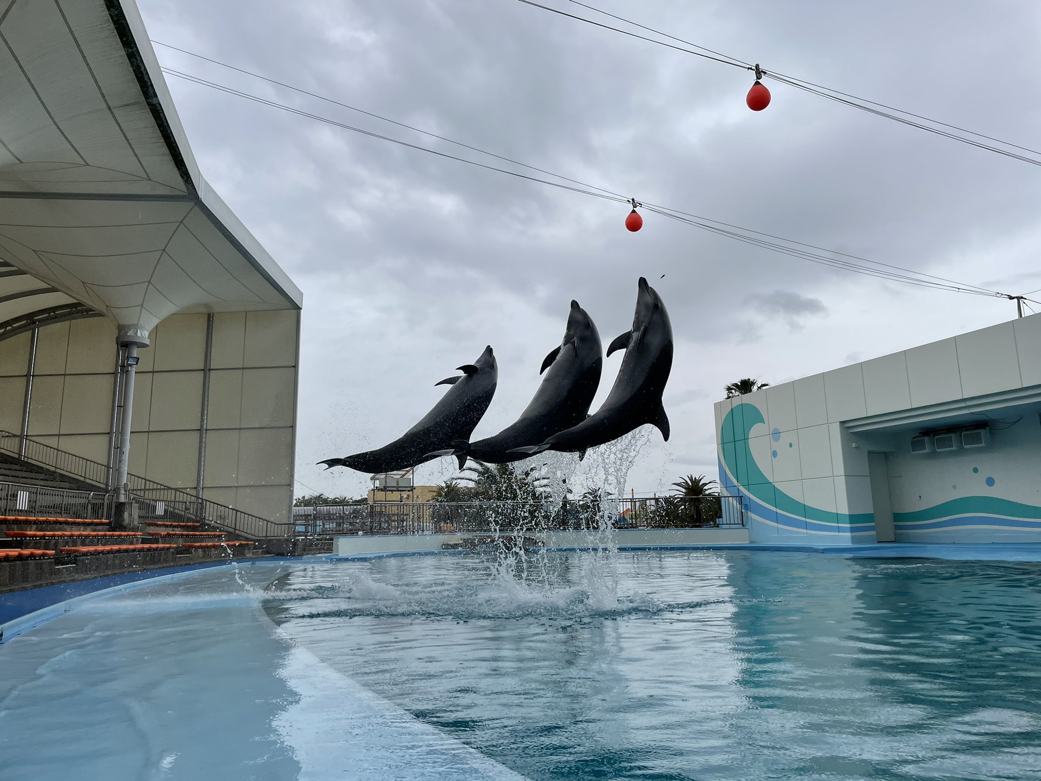 See Beachland00 S Tweet Twitter See Beachland00 S Tweet Twitter