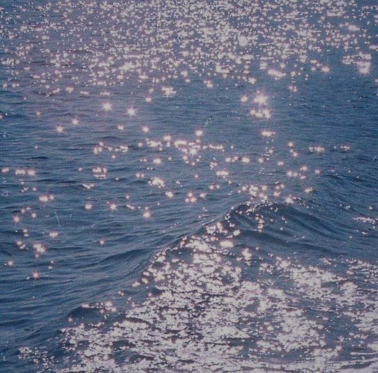 อันดา🌊 tweet media