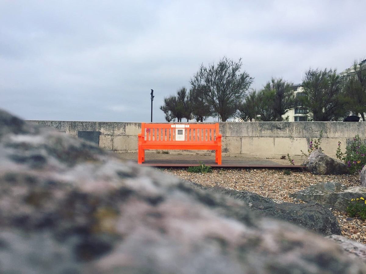 PiertoPierBench's tweet photo. The orange bench is at Crabshack, the penultimate destination! ✨

#piertopierbench #brightonfestival #crabshack #publicart #destination https://t.co/72vyFfTPWH