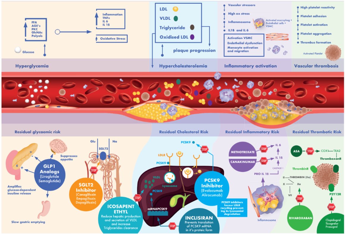 gbiondizoccai's tweet photo. How to fill the GAPS-I in secondary prevention: application of a strategy based on GLP1 analogues, antithrombotic agents, PCSK9 inhibitors, SGLT2 inhibitors and immunomodulators, by Sabouret et al
https://t.co/Cd03xBTVZC
#PanminervaMedica
@SABOURETCardio https://t.co/q5garRYdA9