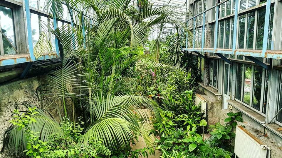 📋"Unutma Bahçesi": Alfred Heilbronn Botanik Bahçesi'ni kaydetmek

#AçıkMimarlık (<a href="/acikmimarlik/">açık mimarlık</a>) başlıyor 📢 

📻 Yağmur Yıldırım'ın (<a href="/yagmurkozmik/">Yağmur Yıldırım</a>) konukları mimar Dilşad Aladağ ve sanatçı Eda Aslan.

⏰11.30'da dinlemek için:▶️ acikradyo.com.tr