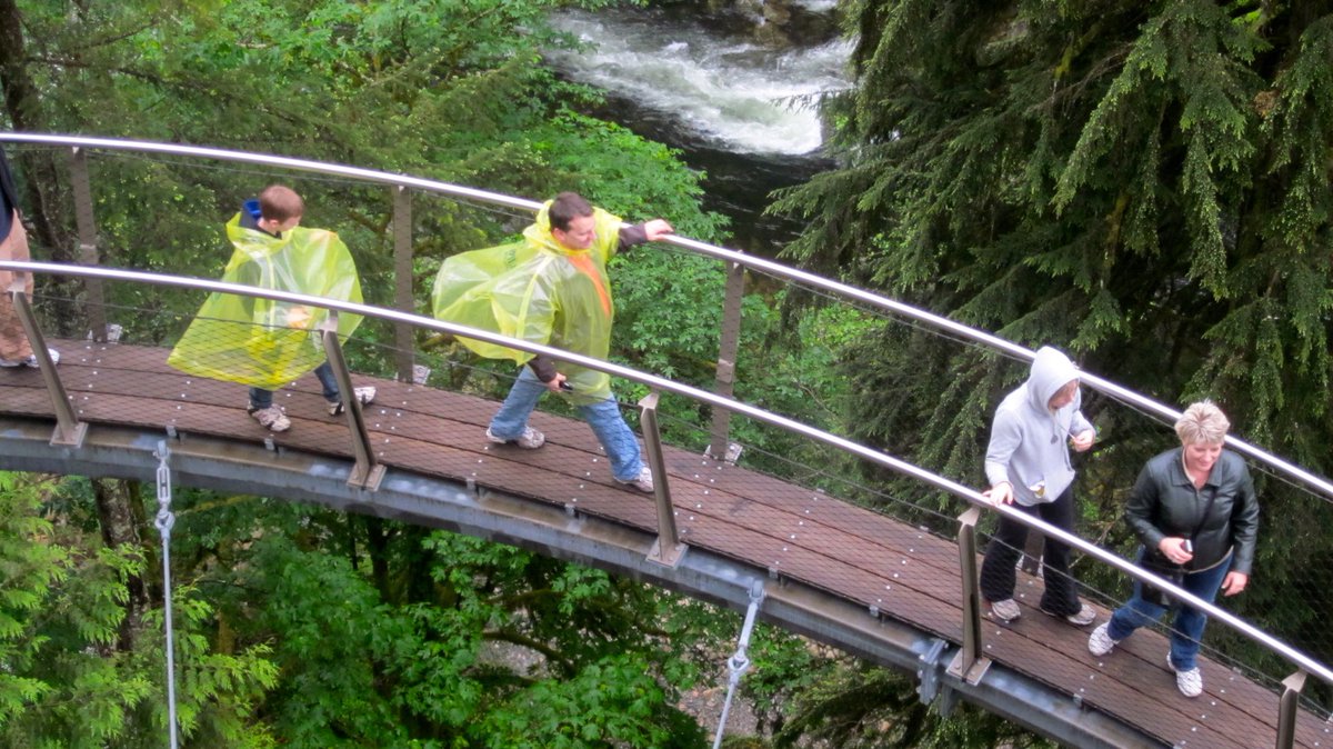 DonNadeau's tweet photo. #Top4Theme #Top4Lookouts
🇨🇦 Capilano Cliff Walk + Suspension Bridge
North Vancouver British Columbia

That bridge was swinging with all the people!

Thank you to chat hosts @Touchse @perthtravelers @Giselleinmotion &amp; @CharlesMcCool https://t.co/PU2HHL8orx