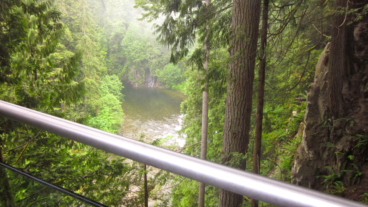 DonNadeau's tweet photo. #Top4Theme #Top4Lookouts
🇨🇦 Capilano Cliff Walk + Suspension Bridge
North Vancouver British Columbia

That bridge was swinging with all the people!

Thank you to chat hosts @Touchse @perthtravelers @Giselleinmotion &amp; @CharlesMcCool https://t.co/PU2HHL8orx