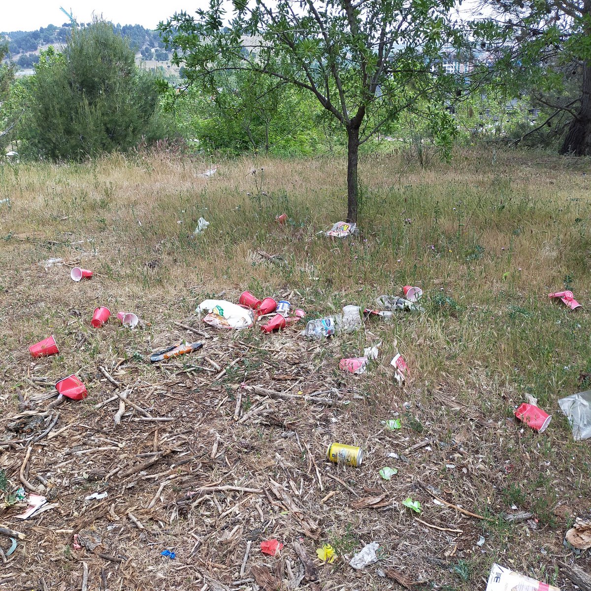 fernik03's tweet photo. @mariatuitea hola María. Espero sepas responder y solucionar a este nuevo centro de encuentro de inconscientes e irrespetuosos . Una vuelta los fines de semana por los servicios policiales, por la noche. Y la pertinente limpieza.  Volvería   a dejar la naturaleza sana. No crees? https://t.co/2A4gZVAHg0