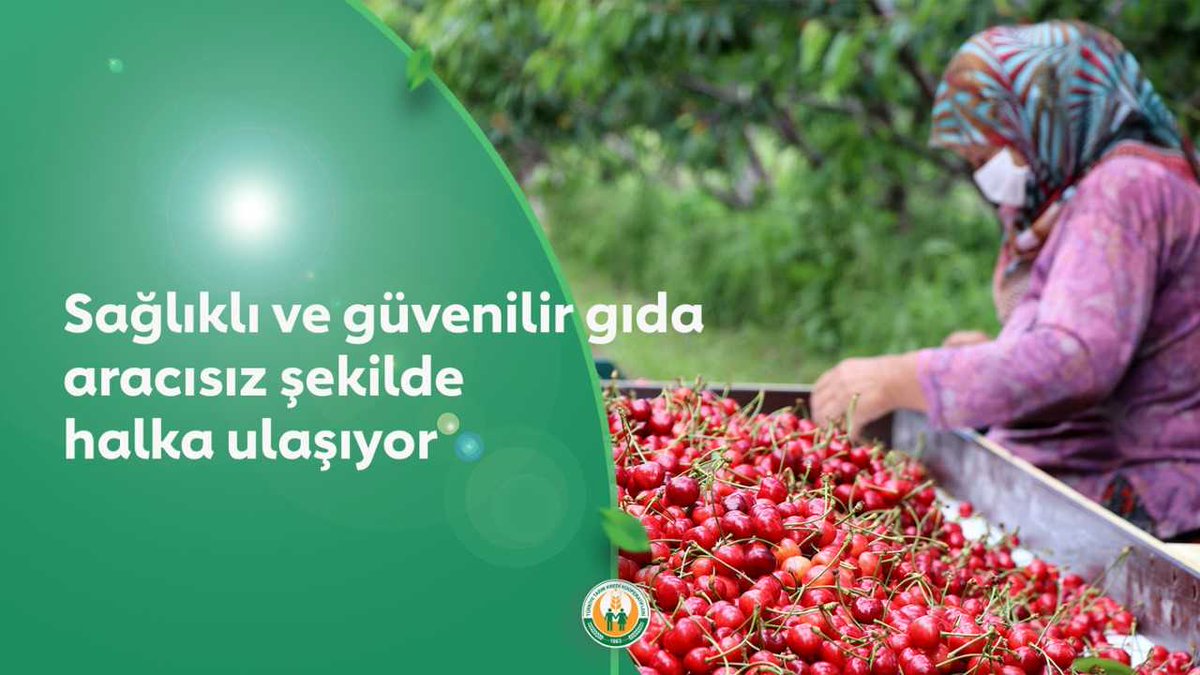 Tarladan sofraya, başka eller değemeden. #TarımKrediYanında