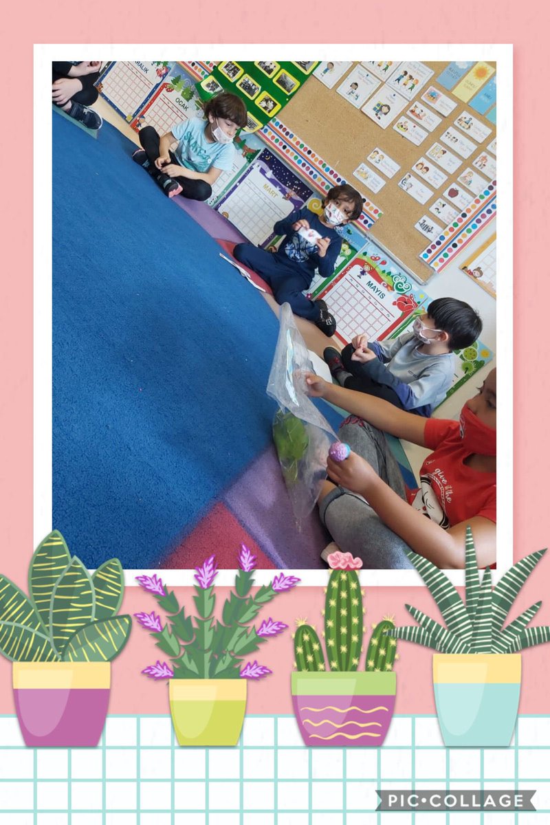 Bahçeşehir Koleji Bademli Kampüsü Okul Öncesi öğrencilerimiz Dünya Tekrar gününde “Doğada birbirini tekrarlayan neler var?” sorusu ile  ilgili araştırmalarını birbirleriyle paylaştılar.🍀🌿🌻