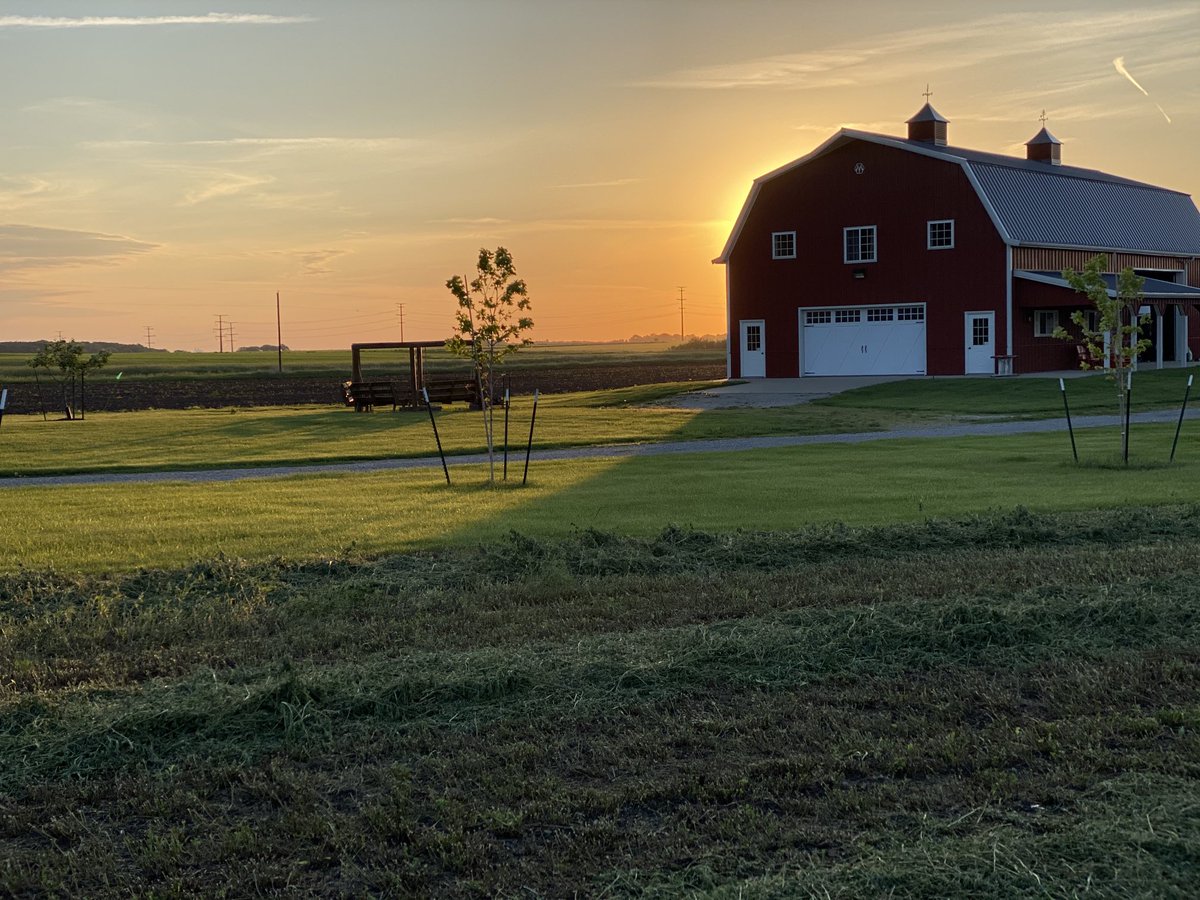 Shannon_Latham's tweet photo. It’s another beautiful morning in North Iowa! Our alfalfa, which will become hay and fed to livestock, was cut yesterday. Thanks to my help from my brother, all my pumpkins will be planted before office hours begin today. 🌱 🎃 #ThisisNorthIowa #pumpkinpatch https://t.co/Na1c5JtguL