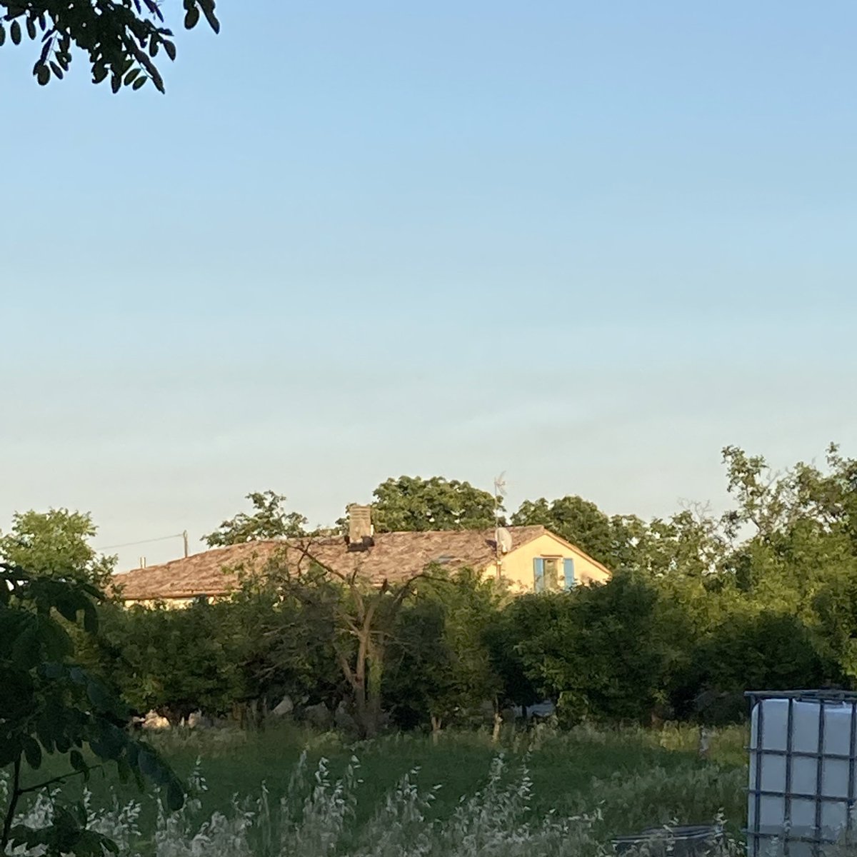 vagnhalen's tweet photo. La casetta che vorrei In mezzo alla campagna, giallina e con gli scuri color celeste https://t.co/9XDaVVCFVL