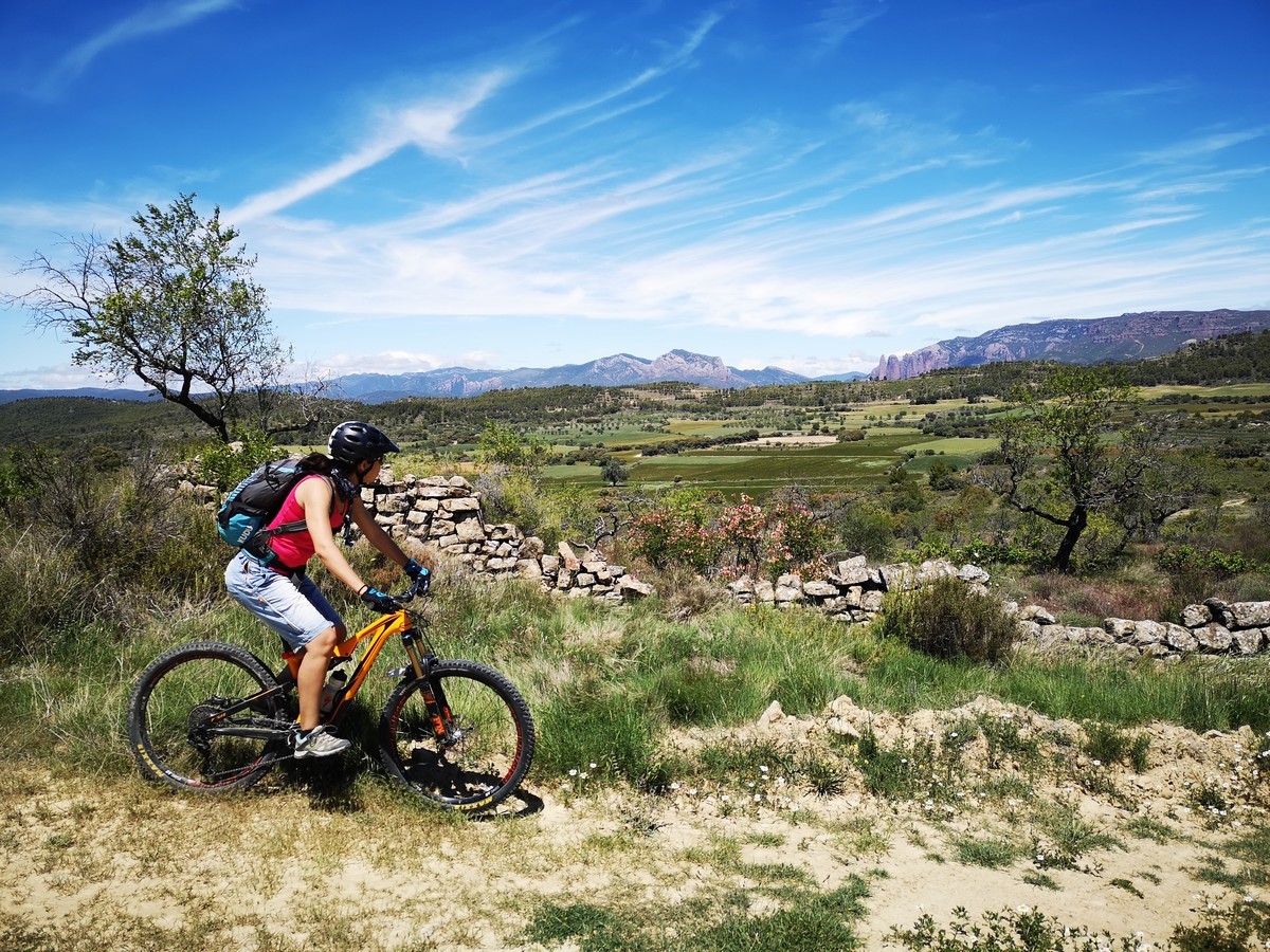 ¡Hoy es el día internacional de la bicicleta! Un buen plan: hacer la ruta 4: Carnicabras, de #ReinoDeLosMallosBike; almorzar refollao de Ayerbe en la ermita de San Pablo y comer en alguno de los restaurantes de Ayerbe al llegar. 

prepyr365.com/es/rutas/reino…
