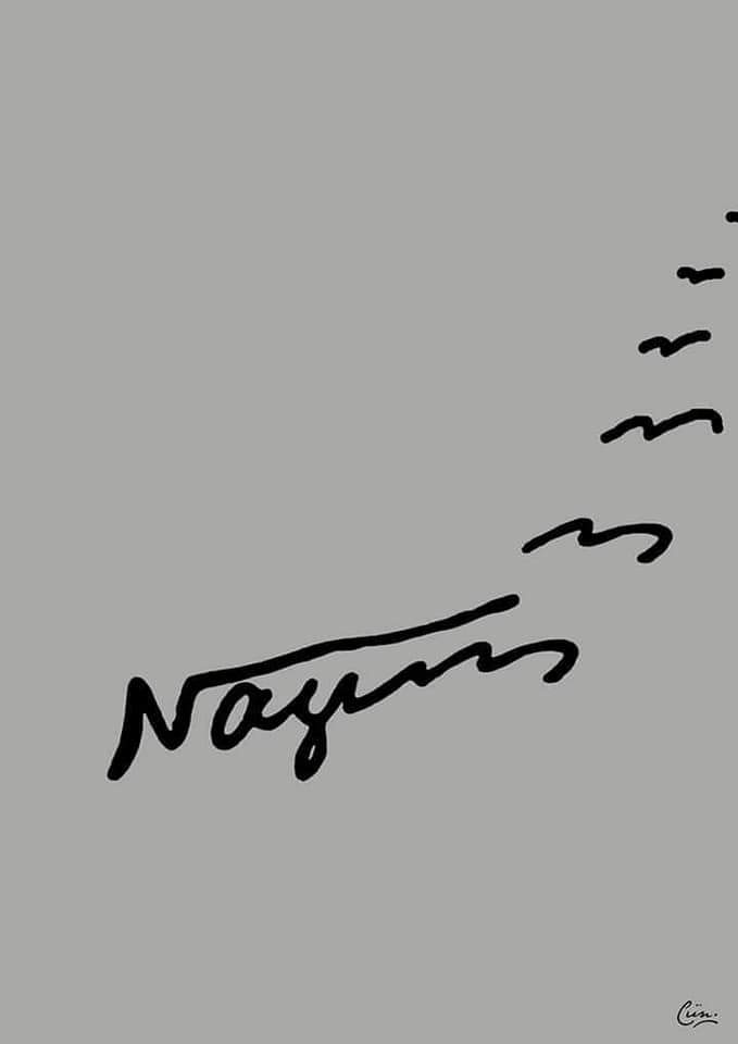 Cüneyt Özyer (@cozyer) on Twitter photo 