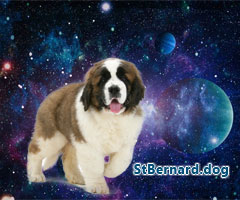 StBernard_Dog's tweet photo. https://t.co/UV4fxf4yNw https://t.co/WLcq7R9S97