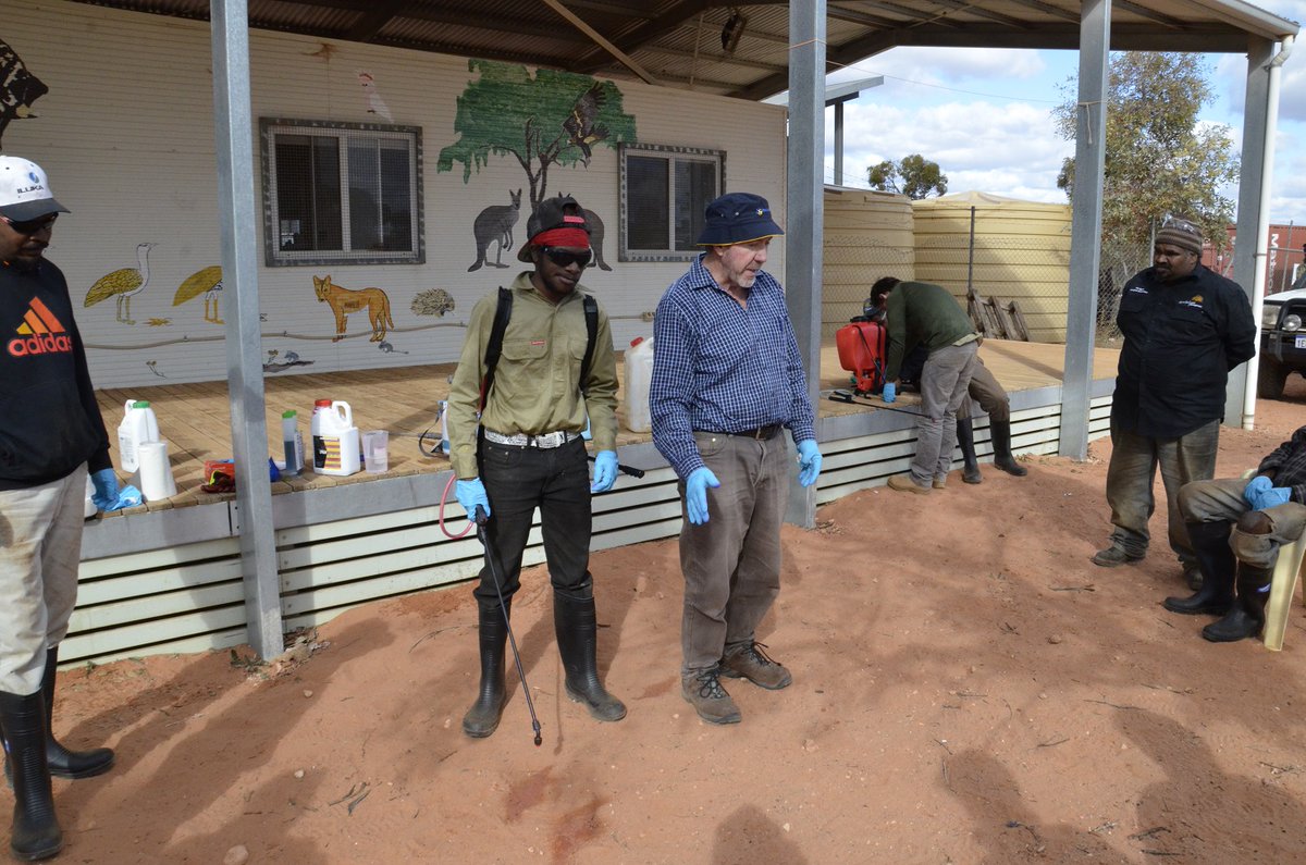AWLandscapeSA's tweet photo. Our 6th #NRW2021 post for #MoreThanAWord focuses on how we โtake actionโ through #training and #employment especially in NRM. Our focus begins with education such as the #Boxthorn removal project with #Yalata #Anangu School and #rockhole management in MT Lands. https://t.co/UGS6uQEvgk