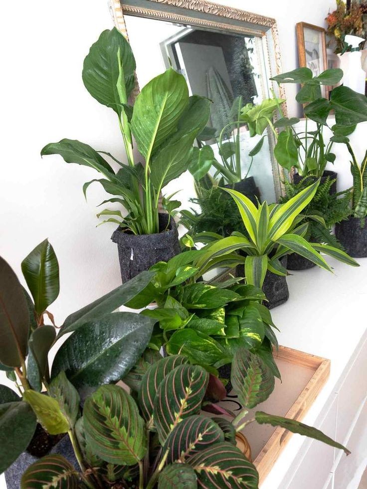 Meg kell tanulnunk elengedni, hogy ne csak legyünk, hanem éljünk is.