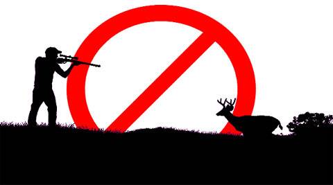Haotian91763770's tweet photo. Twitter is a great place to call on people to solve problems. STOP OVERHUNTING. #39canimals https://t.co/UsGSnSnQ5Z