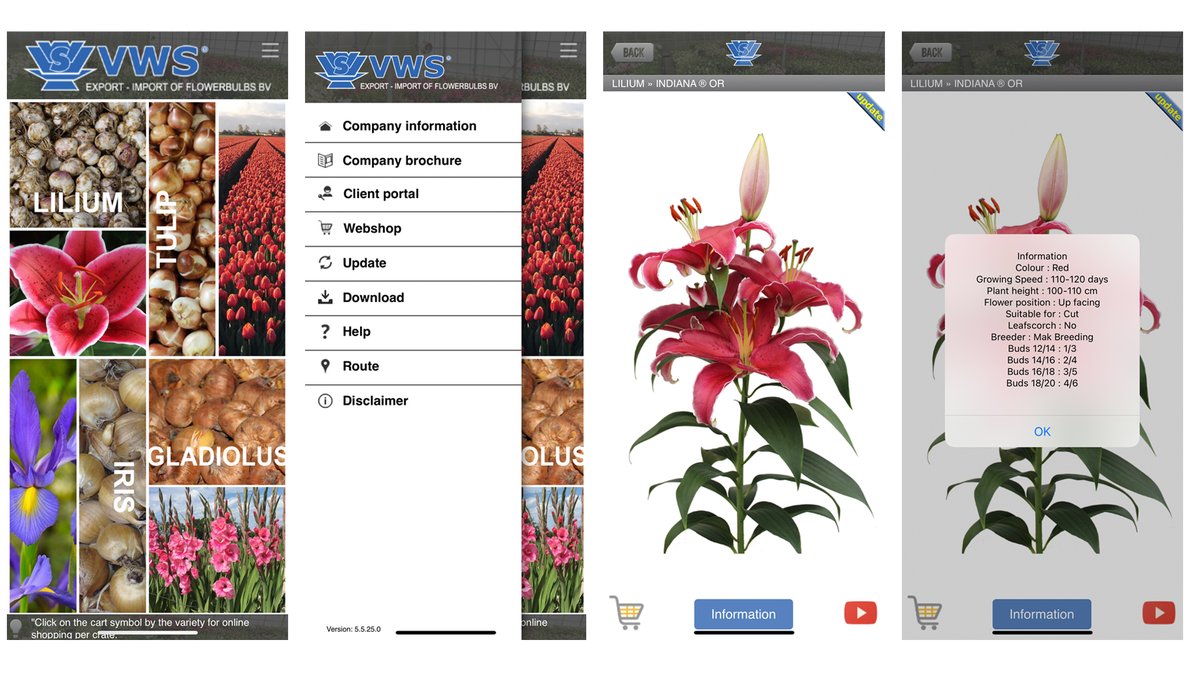 There is an update available of the VWS app. Don't you have our app yet? Go to our website and click on the 'VWS app' button. Highlight: direct link to the webshop per article! Also lots of new varieties!

#app #vws #flowerbulbs #digitalcatalog #lilium #tulip #gladiolus #irises