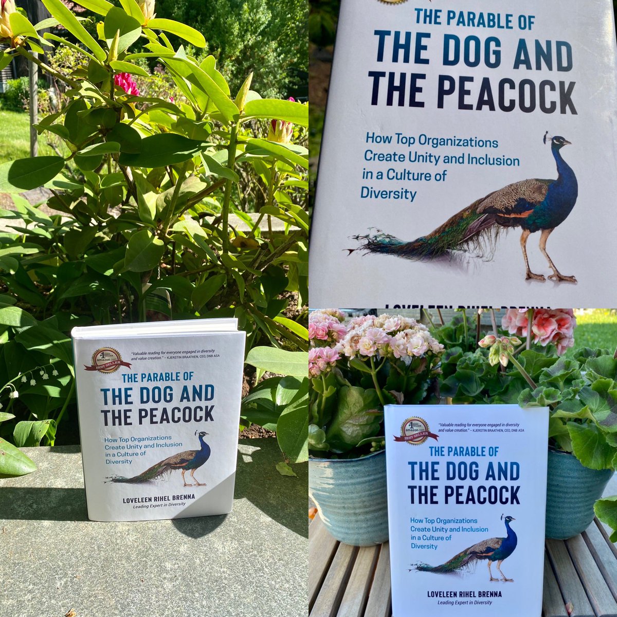 Everyone is talking about #diversityinclusion  today.  <a href="/Loveleenbrenna/">Loveleen Brenna</a> at <a href="/Seema_AS/">Seema</a> has published a great book called “The parable of the dog and the peacock” which provides us with a framework and a methodology to connect diversity to #sustainability and #valuecreation.