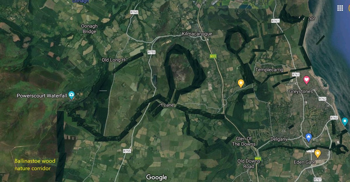 EoinLlewellyn's tweet photo. @noonan_malcolm @theRiverField Trying our best to help change our area and create biosecurity by 2026 and connect Powerscourt to Glen of the Downs and gradually convert Coillte woods to native on Downs hill to future proof the Glen. The people of Wicklow want change ! Large scale green infrastructure. https://t.co/UHhjOmQ0Gj