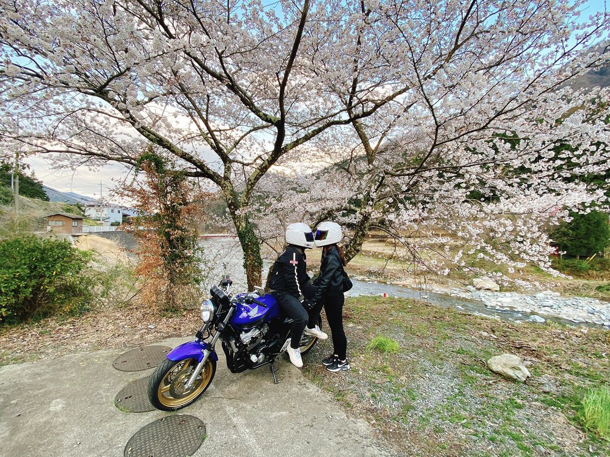 もっとバイク好きな人と繋がりたい！
 #バイク乗りとして軽く自己紹介
名前 : いっせい
性別 : 男
年齢 : 24
住み : 横浜
身長 : 167
愛車 :cb400sf nc39
好き : ヤエー・洗車
一言 : ヤエー中毒者です✌️
よく赤レンガ、道志、江ノ島行くので見かけたら絡んでください🙇‍♂️