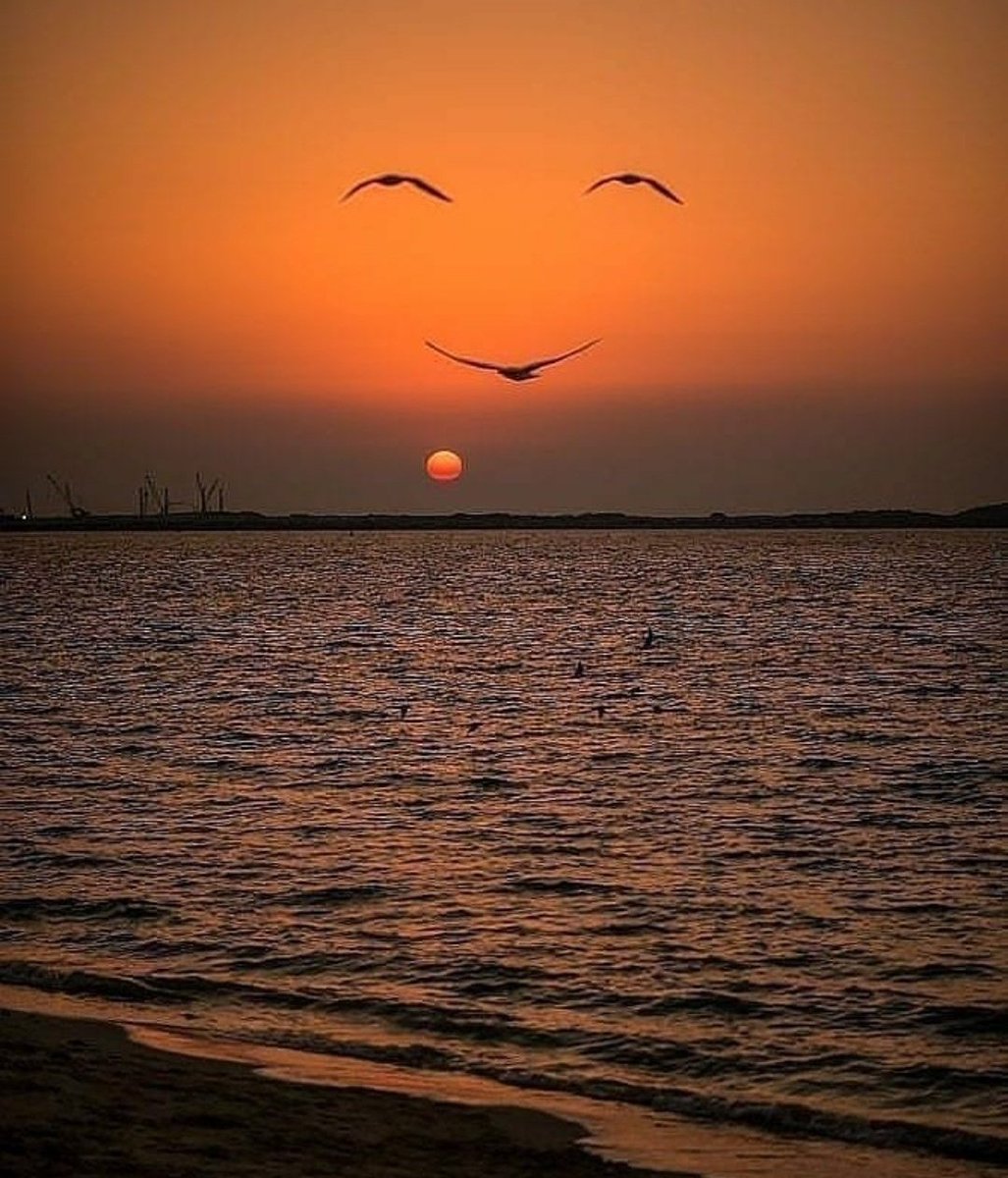 Özge Okur (@okurozge21) on Twitter photo 