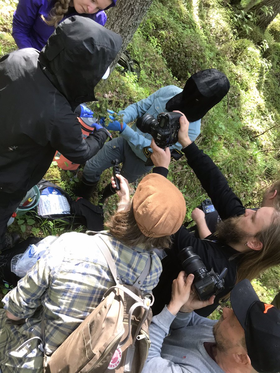 Timo Kumpula (@timokumpula1) on Twitter photo eDNA soil and leaf sampling under surveillance of media. <a href="/IBCCarbon/">IBC-Carbon</a> <a href="/DigGeoUef/">DigitalGeosciencesUEF</a> <a href="/FEO_fi/">FEO Suomen ekosysteemiobservatorio</a> @PVihervaara #biodiversity #research eDNA soil and leaf sampling under surveillance of media. <a href="/IBCCarbon/">IBC-Carbon</a> <a href="/DigGeoUef/">DigitalGeosciencesUEF</a> <a href="/FEO_fi/">FEO Suomen ekosysteemiobservatorio</a> @PVihervaara #biodiversity #research