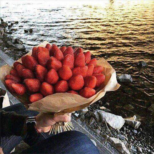 Napkin_Ads's tweet photo. s t r a w b e r r y  b o u q u e t s 🍓 https://t.co/GNyWnhWCPv